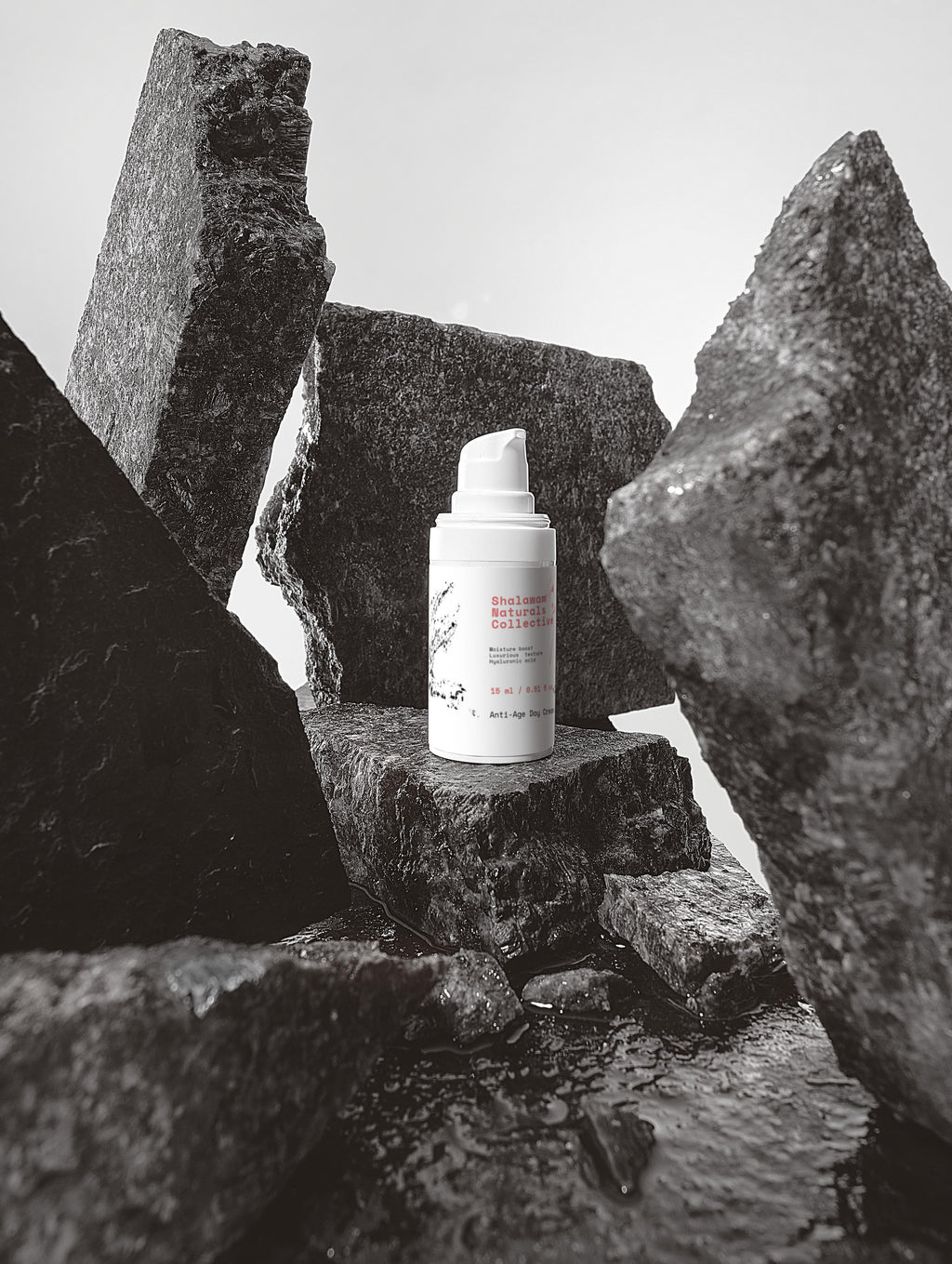 Timeless Radiance Collection Box